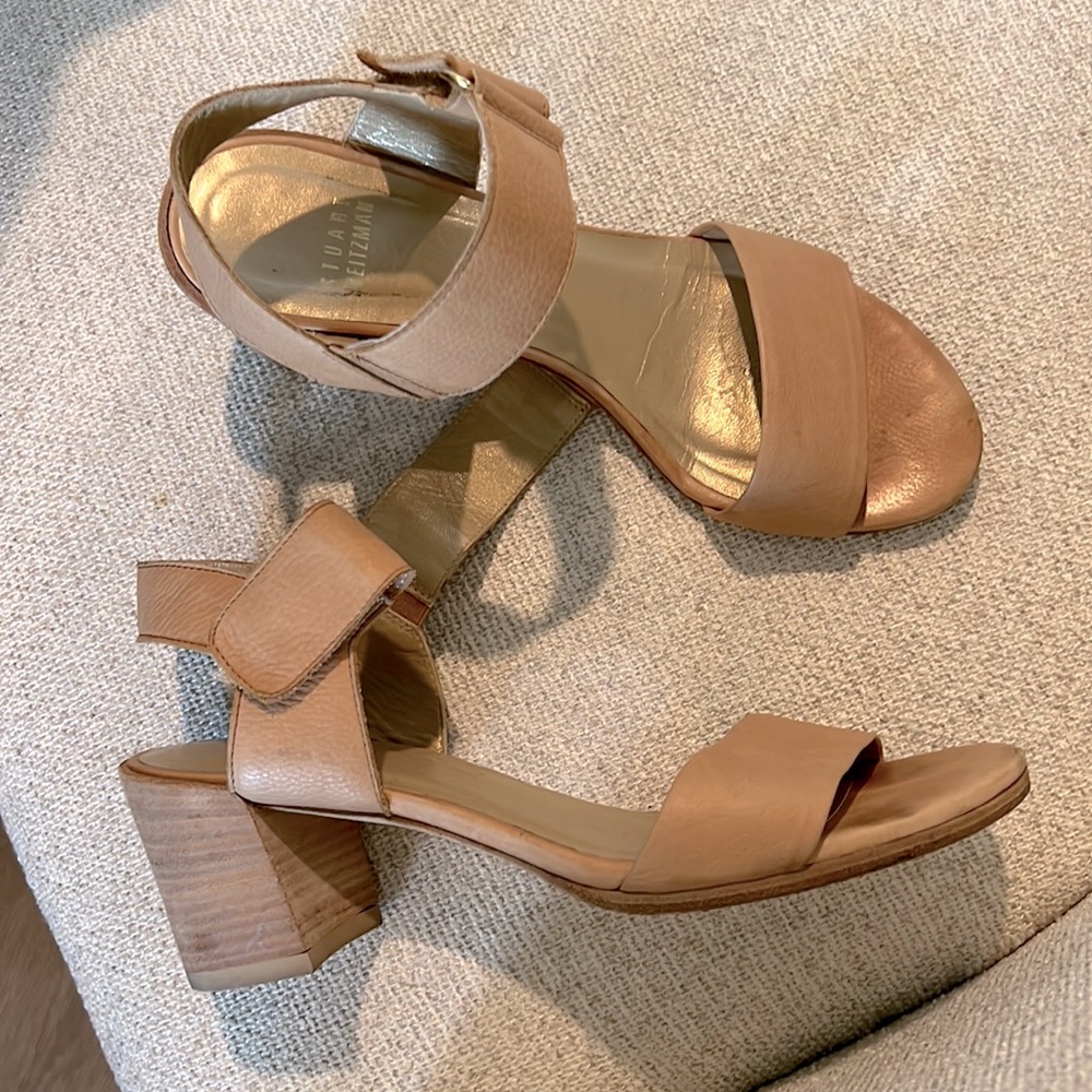 Stuart Weizman block heel ankle strap sandal